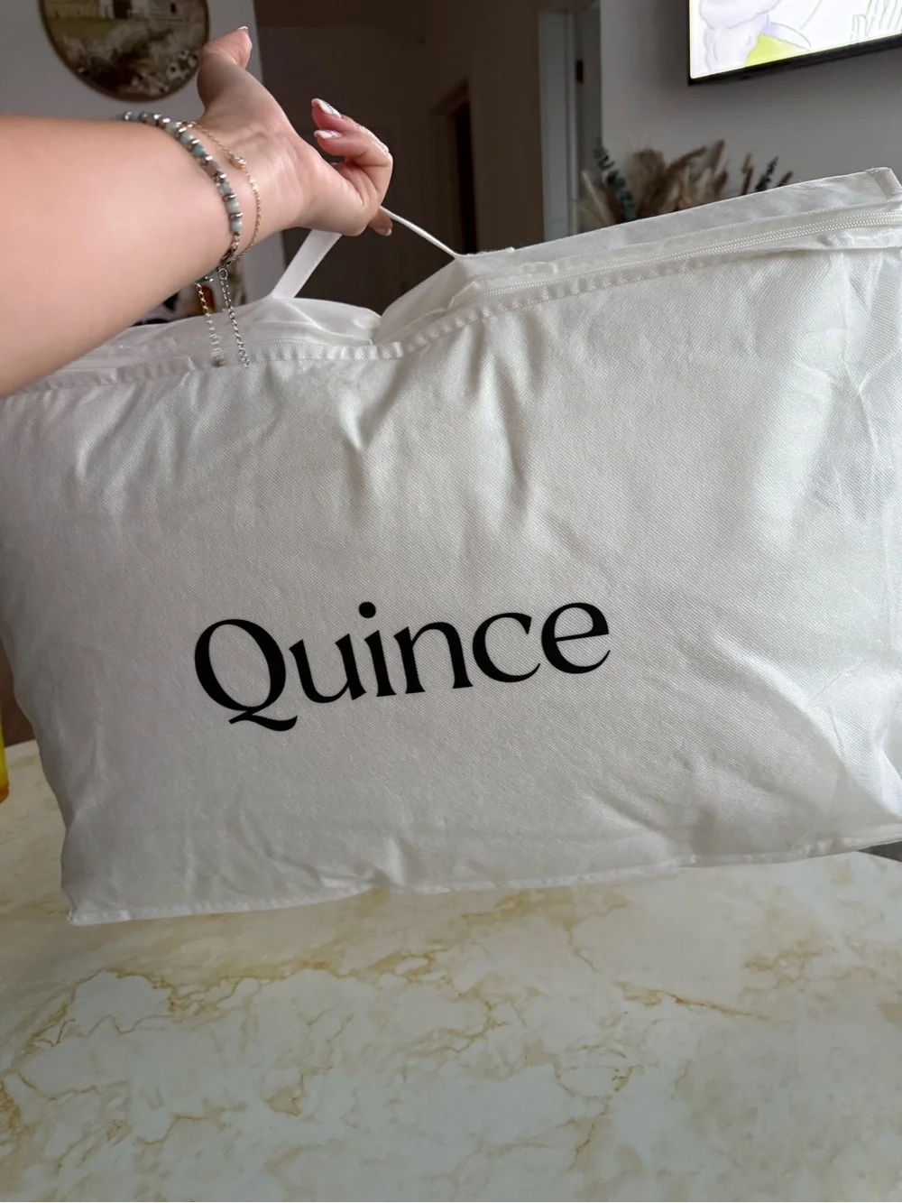NWT 2 Quince Luxe Goose Down Medium Standard Size Pillows 20”X26” Bundle Set